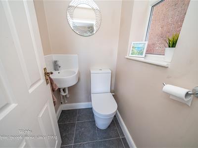 Picture 13